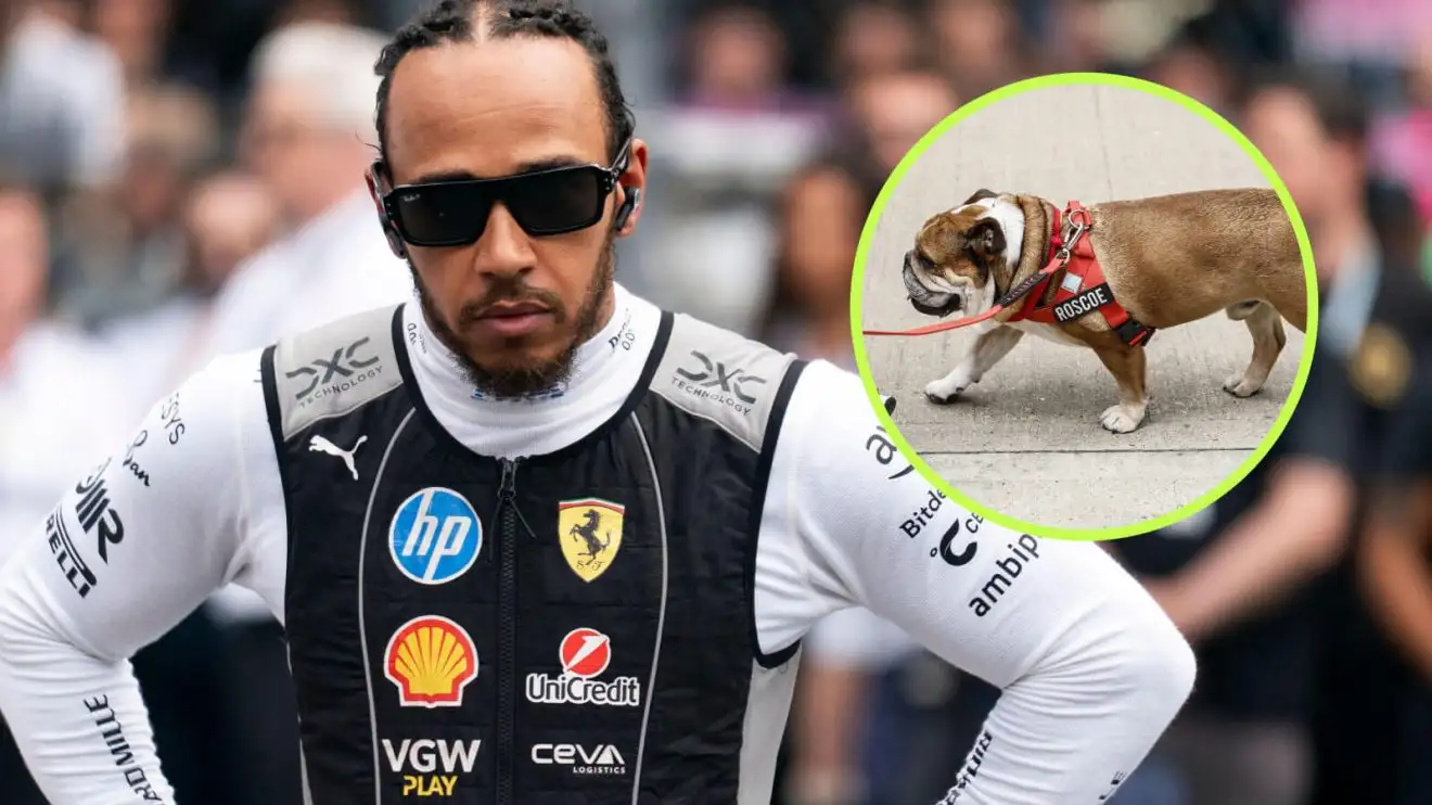 c-686 Lewis Hamilton and Roscoe
